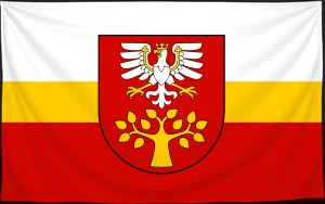 Флаг